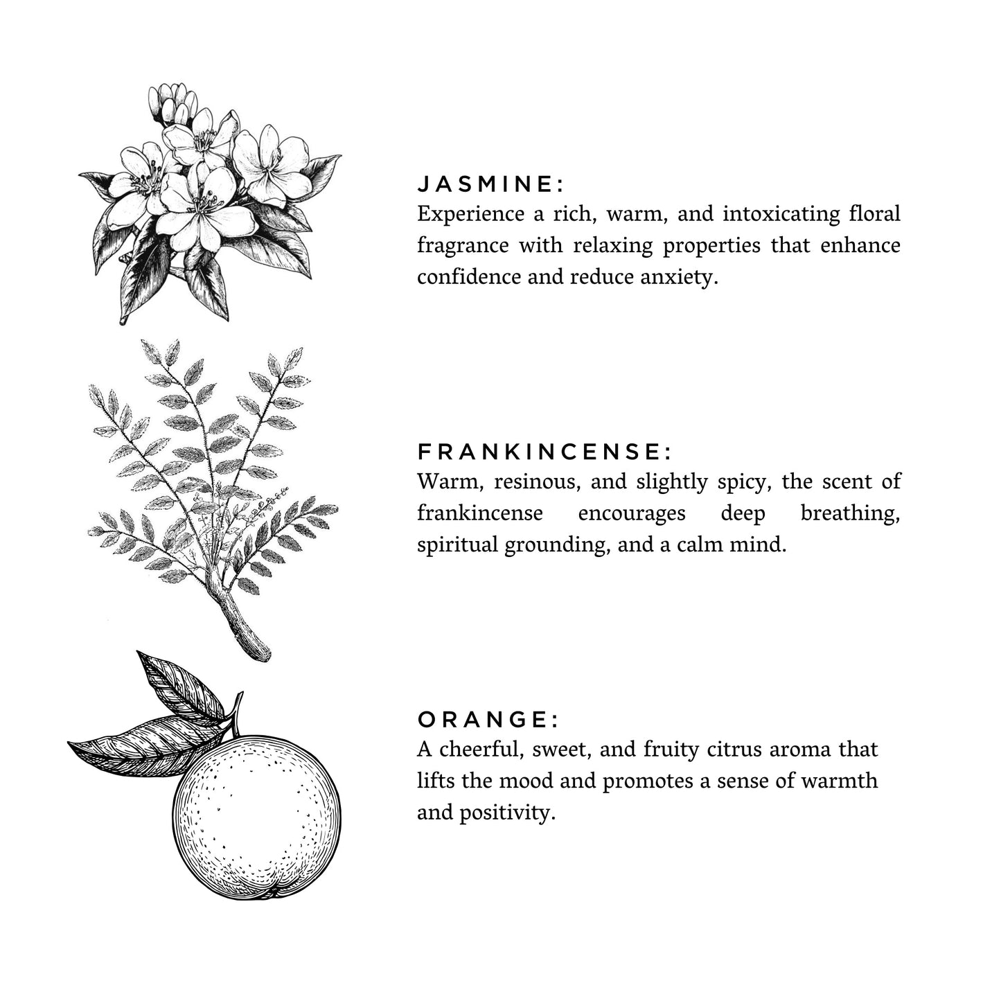 Tuscan Sun - Signature Candle (Orange + Frankincense + Jasmine)